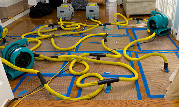 Professional Crawl Space Water Removal technician working in Manson, IA